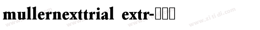 mullernexttrial extr字体转换